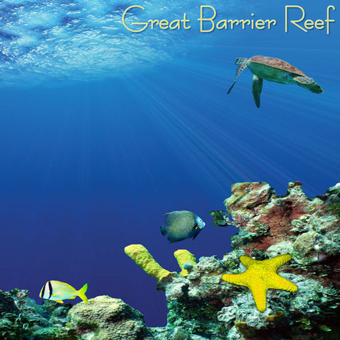 Stamping Station 12x12 Paper -Australia Great Barrier Reef