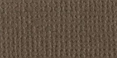 Bazzill 12x12 Cardstock smoothies - Bark