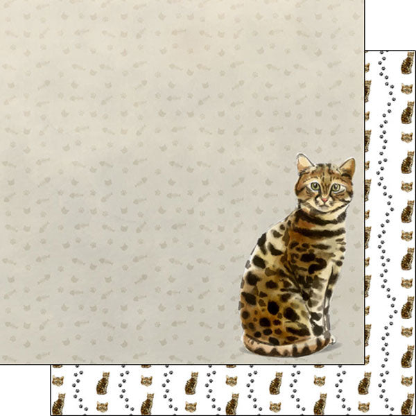 Scrapbook Customs 12x12 Paper - Bengal Watercolor