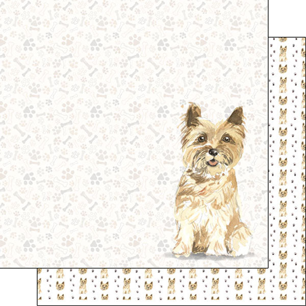 Scrapbook Customs 12x12 Paper - Cairn Terrier Watercolor