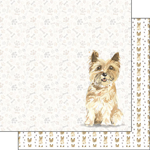 Scrapbook Customs 12x12 Paper - Cairn Terrier Watercolor