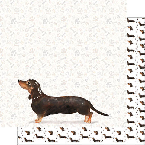Scrapbook Customs 12x12 Paper - Dachshund Tan & Black Watercolor