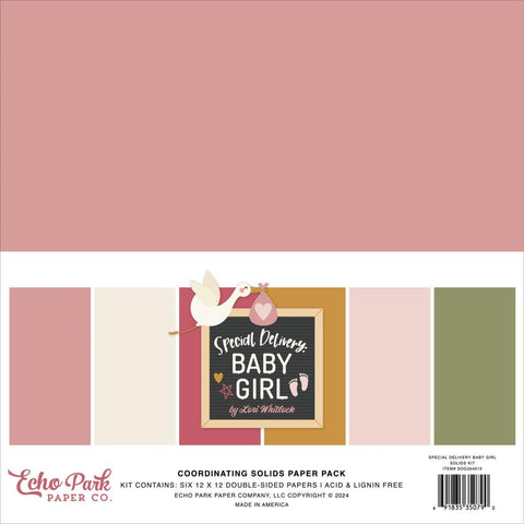 Echo Park 12x12 Paper  [Collection] - Special Delivery Girl Solids