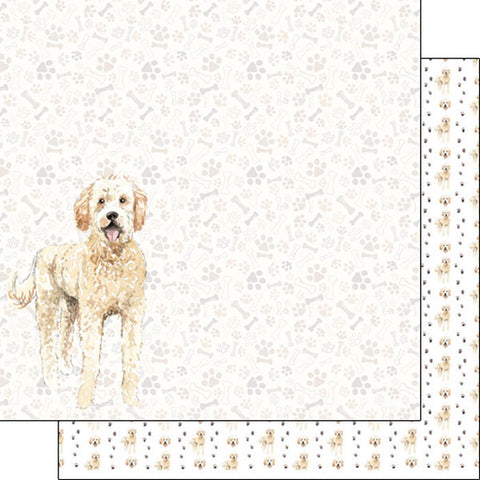 Scrapbook Customs 12x12 Paper - Golden Doodle Watercolor
