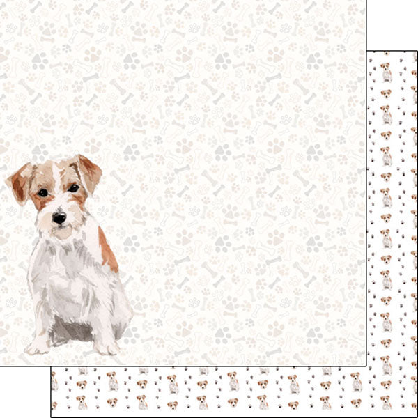 Scrapbook Customs 12x12 Paper - Wire Hair Jack Russel