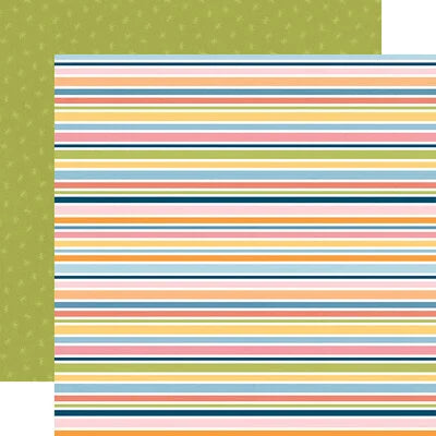 Echo Park Paper 12x12 Cardstock  [Collection] - Cat Lover - Kitty Stripes