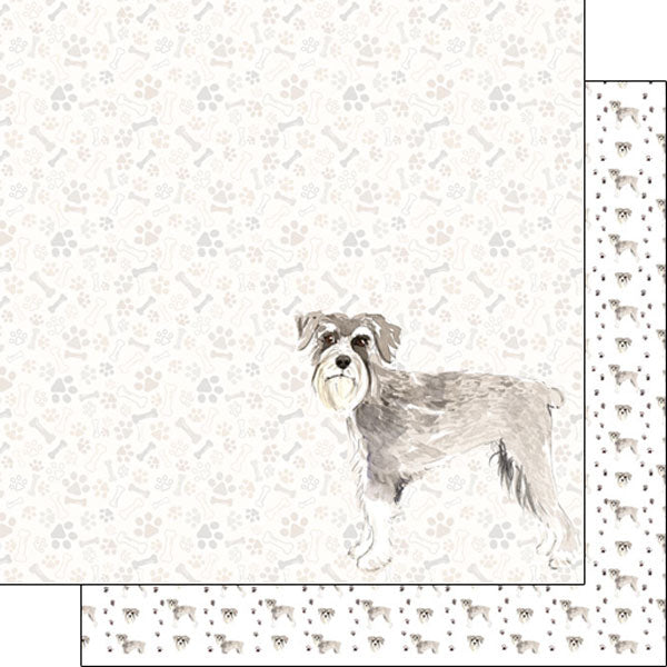Scrapbook Customs 12x12 Paper - Schnauzer Watercolor