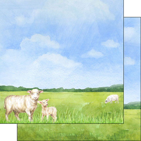 Scrapbook Customs 12x12 Paper - Sheep Watercolor
