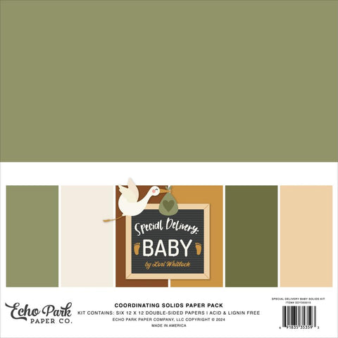 Echo Park 12x12 Paper  [Collection] - Special Delivery  Baby Solids