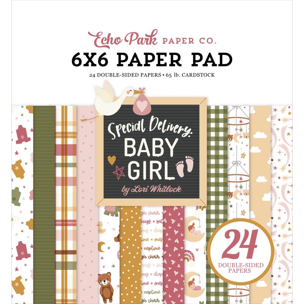 Echo Park 6x6 Paper  [Collection] - Special Delivery Baby