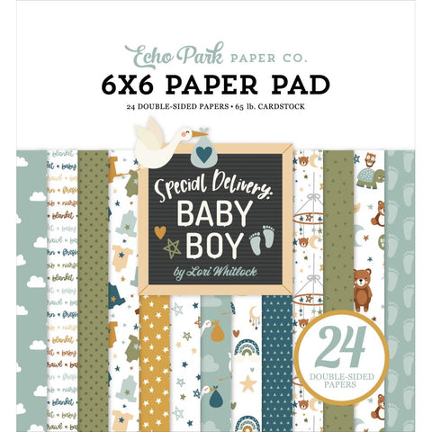 Echo Park 6x6 Paper  [Collection] - Special Delivery Baby Boy