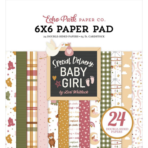 Echo Park 6x6 Paper  [Collection] - Special Delivery Baby Girl