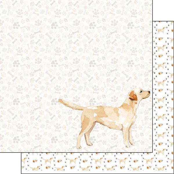 Scrapbook Customs 12x12 Paper - Labrador Retriever yellow