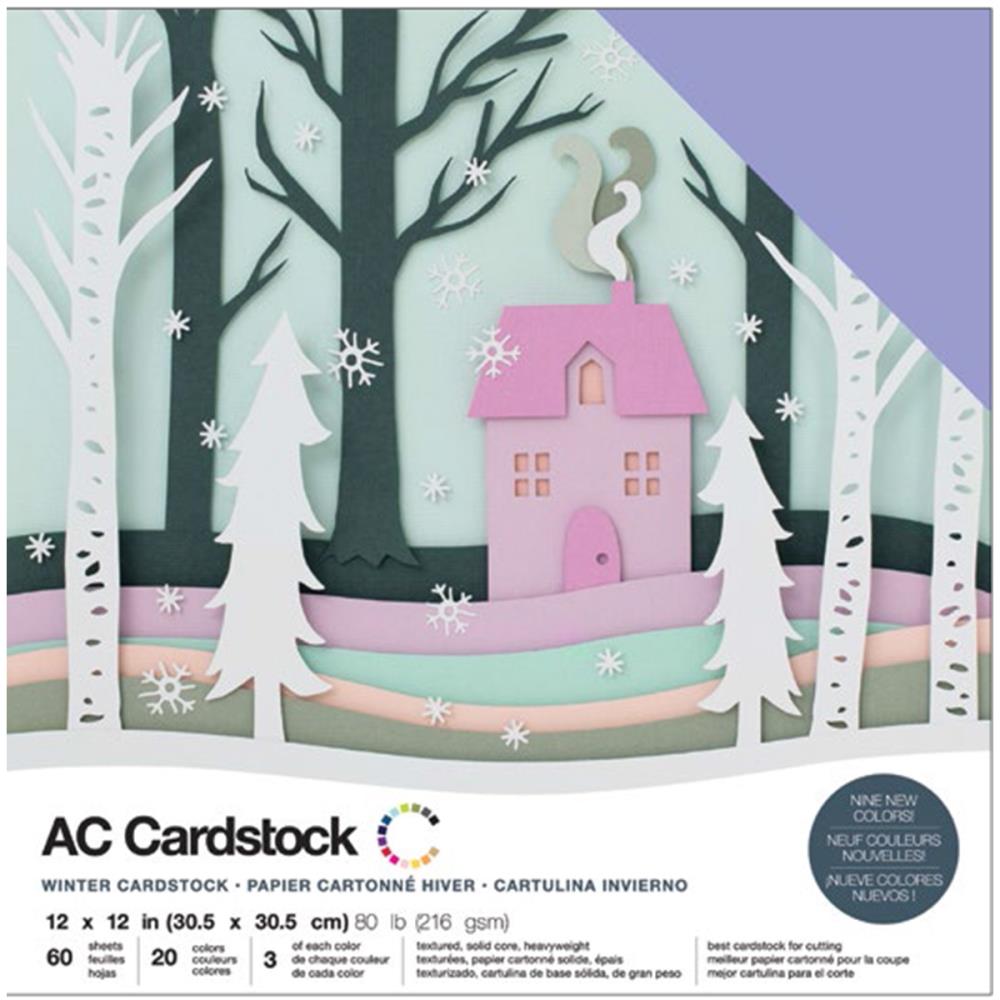AC Cardstock 12x12 - Winter