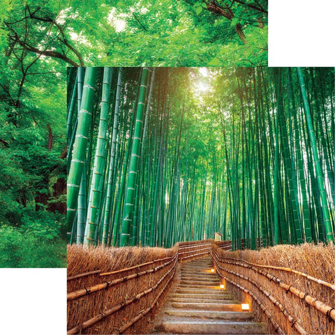 Reminisce 12x12 Paper [Collection] - The Journey Beyond - Bamboo Byway