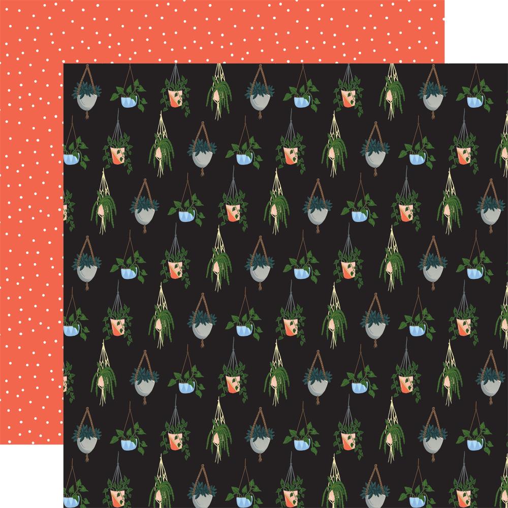 Echo Park 12x12 Paper - [Collection] - Plant Lady - Hanging Plants