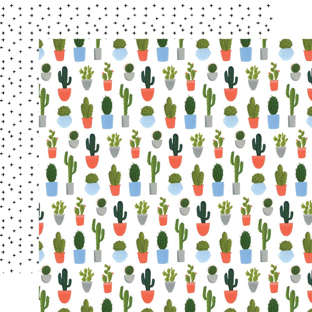 Echo Park 12x12 Paper - [Collection] - Plant Lady - Cacti