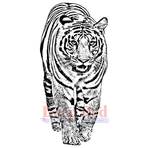 Deep Red Cling Stamp - Bengal Tiger