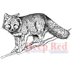 Deep Red Stamp - Winter Fox