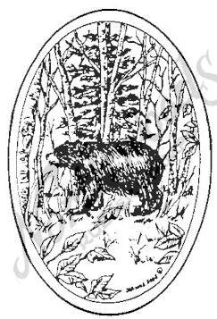 Northwoods Rubber Stamps - Bear Oval