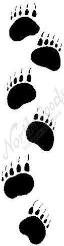 Northwoods Rubber Stamps - Baby Bear Tracks